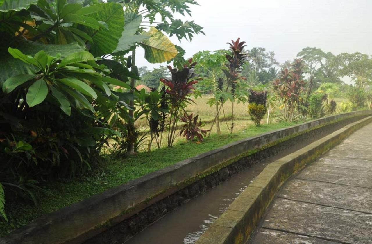 Candra Asri Bungalow Ubud Exterior foto